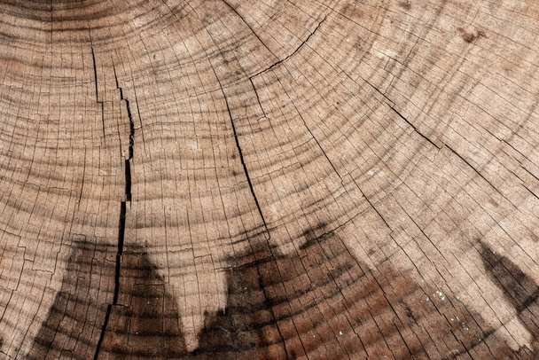 Fondo de madera vieja. Macro detalle de una textura de madera natural con grietas
. - Foto, imagen