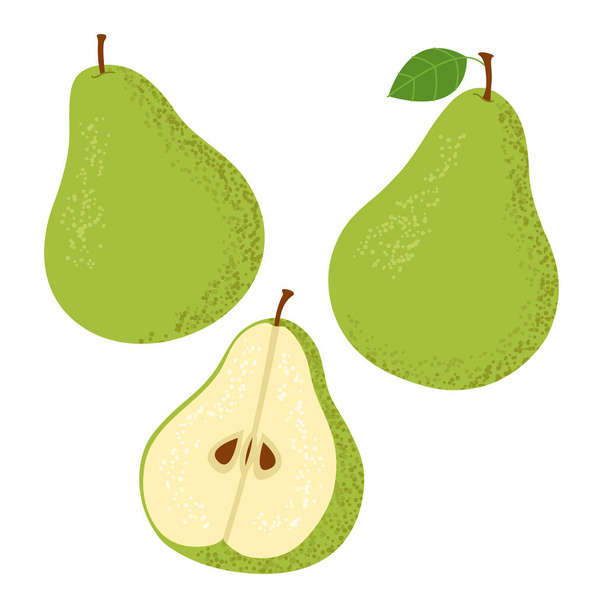 Set of green pears. Isolated on a white background. Vector illustration. - Вектор,изображение