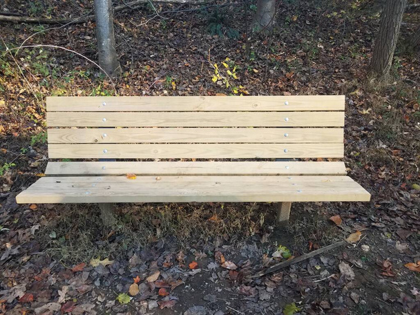 drewniana ławka z opadłymi liśćmi i drzewami jesienią - Zdjęcie, obraz