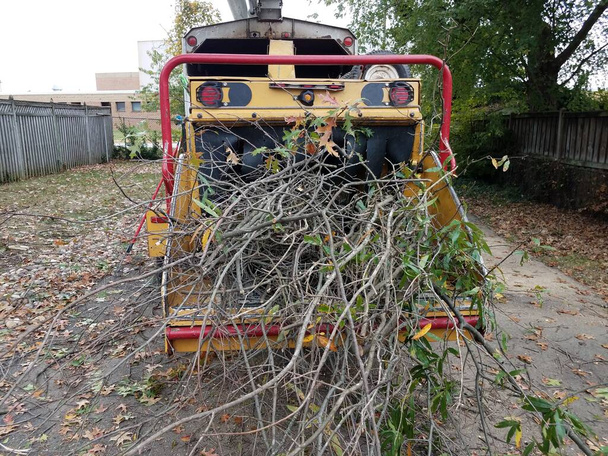 machine à déchiqueter le bois dans l'allée avec branches et feuilles d'arbres - Photo, image