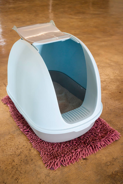 Cleaning cat litter box place, stock photo - Photo, Image