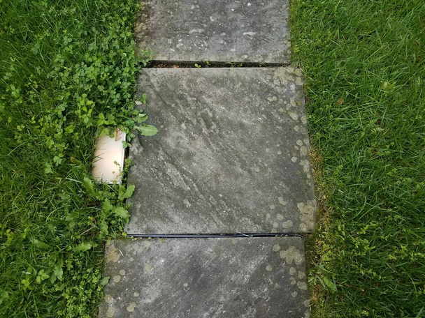 плитка из серого камня со светом и лишайником и зеленой травой или газоном
 - Фото, изображение