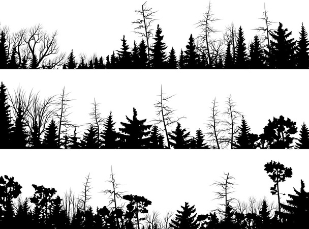 Horizontal silhouettes of coniferous wood. - Vector, Image