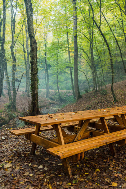 Vista de otoño en Belgrad Forest (Turco: Belgrad Ormani) en Estambul, Turquía
. - Foto, imagen