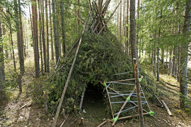 uma cabana de floresta construída como uma Tipi indiana
 - Foto, Imagem
