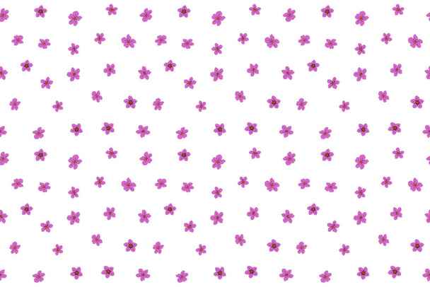 Flowers pattern. Seamless colorful flowers painting in blue, pink and orange colors. - Photo, Image