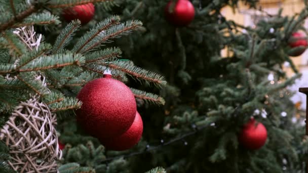 Gros plan d'une boule rouge sur le sapin naturel décoré du Nouvel An lors d'une fête de Noël sur une place de la vieille ville. - Séquence, vidéo