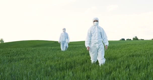 Caucasian male and female farmers ecologists in white protective costumes and goggles walking in green field in summer. Man and woman scientists and biologists strolling the margin with eco harvest. - Footage, Video