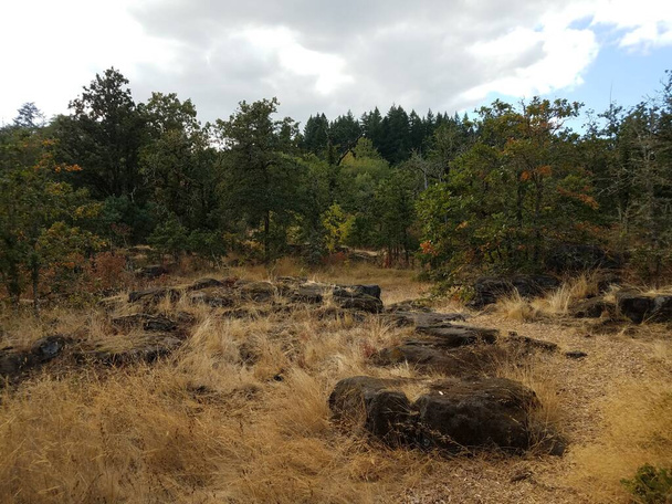 large rocks or boulders from cooled lava and brown grass and trees in Oregon City, Oregon - Photo, Image