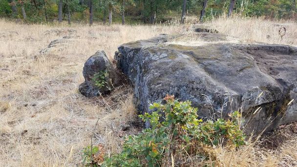 suuria kiviä tai lohkareita jäähtyneestä laavasta ja ruskeasta ruohosta sekä puita Oregonissa, Oregonissa - Valokuva, kuva