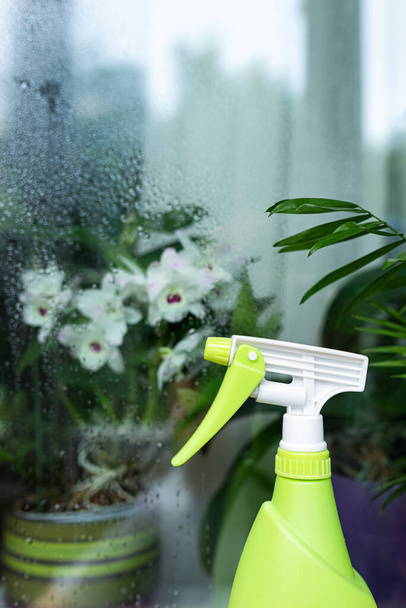 κίτρινος-πράσινος ψεκαστήρας νερού σε φόντο λευκών λουλουδιών Dendrobium Orchid πίσω από ένα υγρό γυαλί που στάζει, κοντινό πλάνο, επιλεκτική εστίαση. - Φωτογραφία, εικόνα