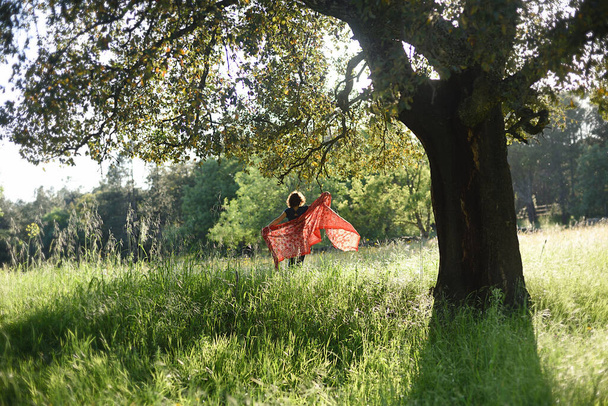 Silhouette féminine rétro-éclairée avec tissu rouge et grand arbre dans le champ. - Photo, image