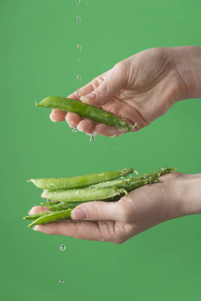Las manos femeninas lavando judías verdes sobre el fondo verde saturado. Concepto de la importancia del lavado de verduras en cuarentena
 - Foto, Imagen