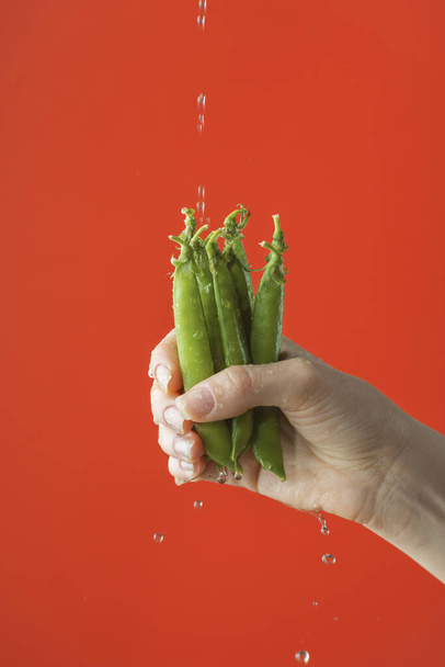 Female hand washing green pea beans on the red saturated background. Concept of the importance of washing vegetables under quarantine - Фото, изображение