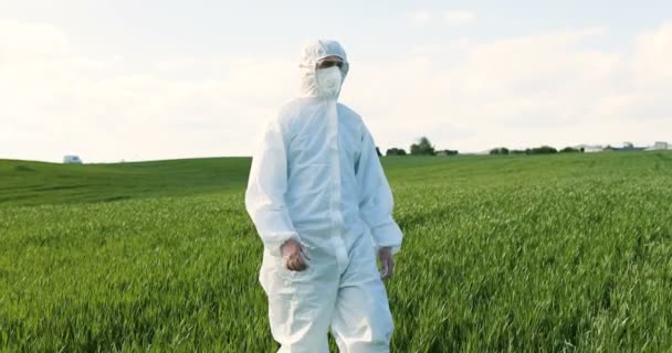 Caucasian male farmer ecologist in white protective costume and goggles walking in green field in summer. Man scientist and biologist strolling the margin with eco harvest. - Video