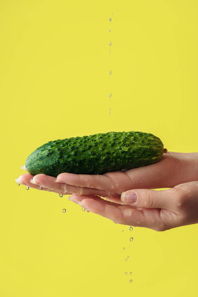 Female hand washing cucumber on the yellow saturated background. Concept of the importance of washing vegetables under quarantine - Photo, Image
