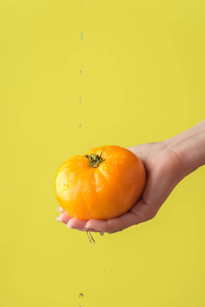 Weibliche Hände waschen gelbe Tomaten auf dem gelb gesättigten Hintergrund. Konzept, wie wichtig das Waschen von Gemüse unter Quarantäne ist - Foto, Bild