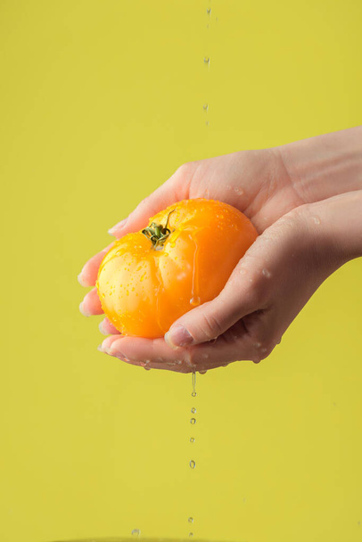 Mains féminines lavant la tomate jaune sur le fond jaune saturé. Concept de l'importance du lavage des légumes en quarantaine
 - Photo, image