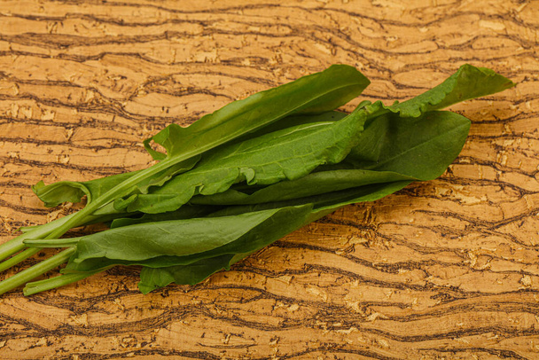 Aroma Friss zöld sóska gyógynövény halom - Fotó, kép