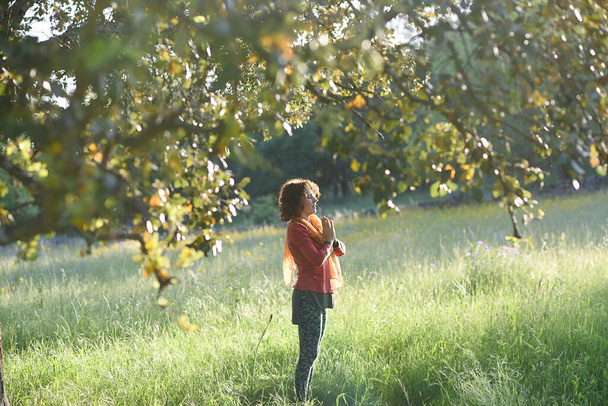 Жінка з деревом в медитативній позі на заході сонця
. - Фото, зображення