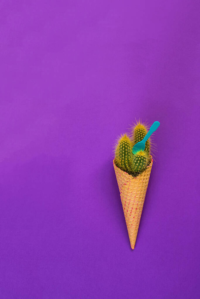 cactus in waffle corn, imitation of ice cream concept - Fotoğraf, Görsel