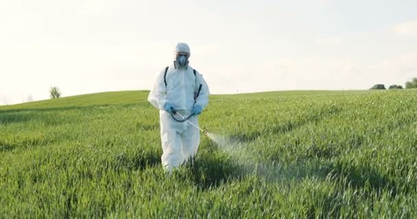 Caucasian male farmer in white protective costume, mask and goggles walking the green field and spraying pesticides with pulverizator. Man fumigating harvest with chemicals. - Video