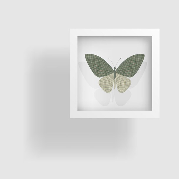 butterfly in het beeld en haar reflectie - Vector, afbeelding