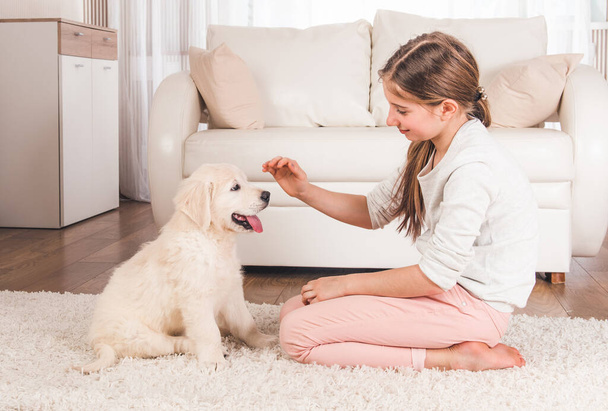 Girl playing with retriever puppy - 写真・画像