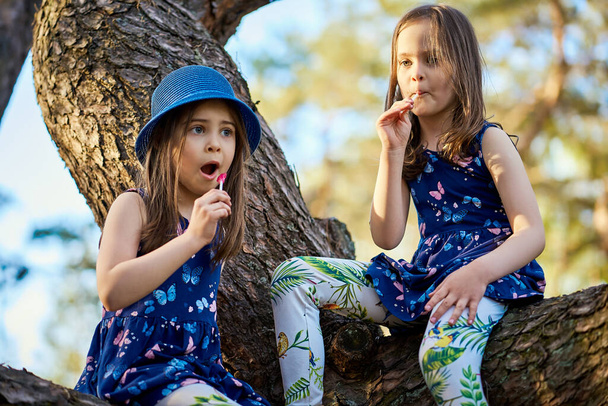 dvě dívky v letních šatech jsou lezení strom v lese - Fotografie, Obrázek
