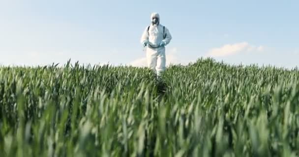 Vista desde abajo en el granjero caucásico con traje protector blanco, máscara y gafas caminando por el campo verde y rociando pesticidas con pulverizador. Hombre fumigando la cosecha con productos químicos
. - Imágenes, Vídeo