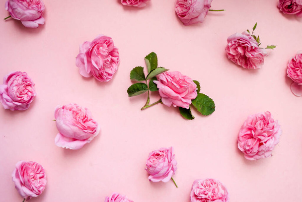 Flower arrangement. Pink roses on a pink background. Top view. Flat lay. - Photo, image