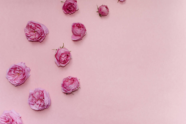 Σύνθεση με λουλούδια. Ροζ τριαντάφυλλα σε ροζ φόντο. Θέση για κείμενο. Στο πάνω μέρος. Επίπεδη. - Φωτογραφία, εικόνα