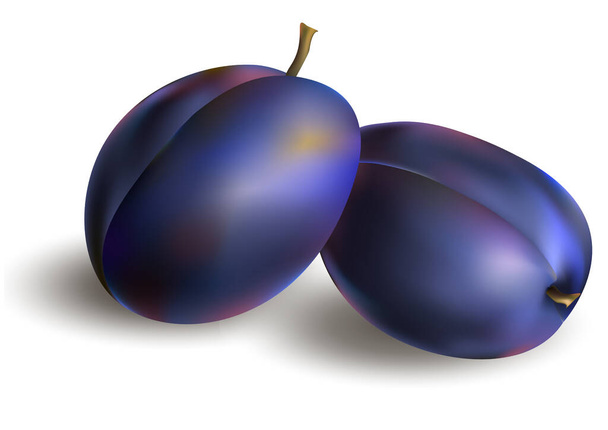 Vector colorful illustration of too ripe plums. - Vector, Image