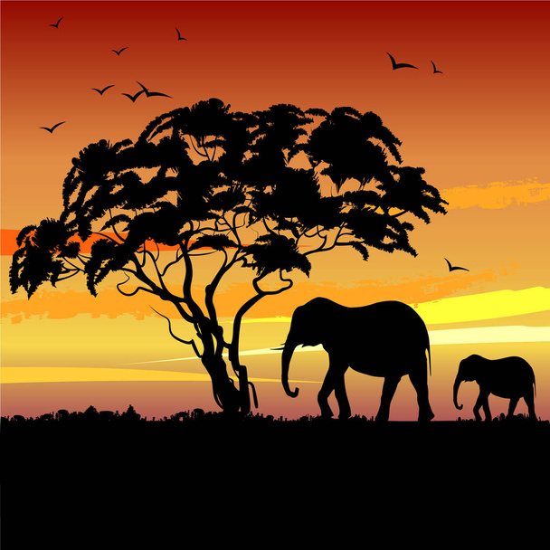 Afrykański krajobraz z zachodem słońca i sylwetką drzew i słoni. Ilustracja wektora. - Wektor, obraz