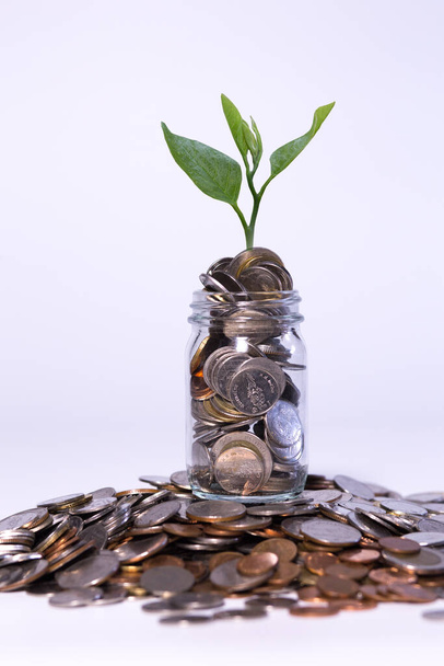 Besparing van geld door munten in kruik glas op witte achtergrond - Foto, afbeelding