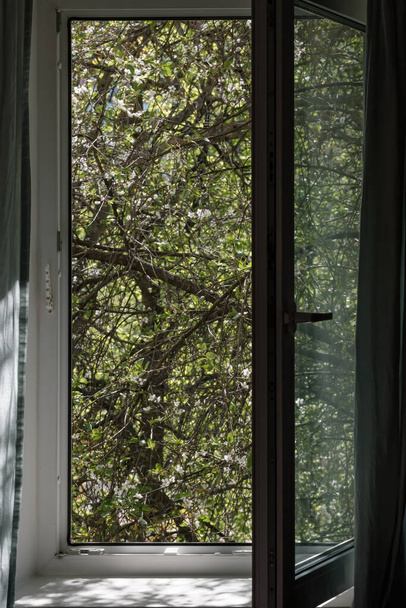 Otevřít pvc okno, proti kterému kvetoucí třešeň, na jaře, slunečný den. - Fotografie, Obrázek