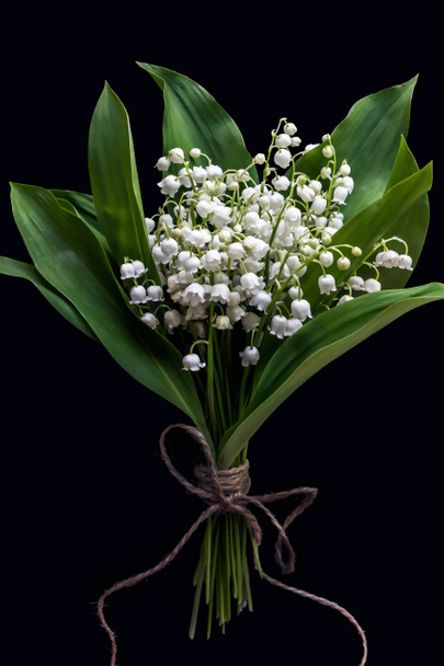 κρίνος της κοιλάδας λουλούδι μπουκέτο σε μαύρο φόντο - Φωτογραφία, εικόνα
