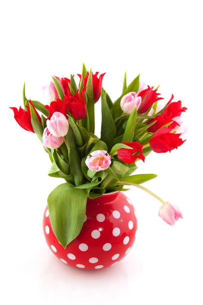 Bouquet tulips - Fotografie, Obrázek