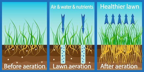 Belüftung des Rasens. Anreicherung mit Sauerstoff und Nährstoffen zur Verbesserung des Rasenwachstums. Vor und nach der Belüftung: Gartenarbeit, Rasenpflege. Vorteile, Belüftung. Vektor - Vektor, Bild