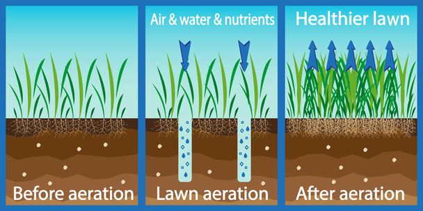 Nurmikon ilmanvaihto. Väkevöiminen hapella vedellä ja ravinteilla nurmikon kasvun parantamiseksi. Ennen ja jälkeen ilmastus: puutarhanhoito, nurmikonhoitopalvelut. Edut, ilmastus. Vektori
 - Vektori, kuva