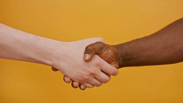 Gros plan d'une poignée de main. Main noire et blanche, concept d'amitié et de coopération interraciale - Photo, image
