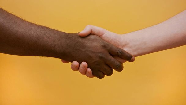 Close up of a handshake. Black and white hand, interracial friendship and cooperation concept - Photo, Image