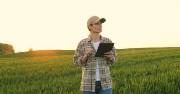 Jolie femme caucasienne au chapeau marchant dans le champ vert du blé et utilisant un ordinateur tablette. Jeune agricultrice flânant dans sa marge et tapant sur tablette. Concept agricole
. - Séquence, vidéo