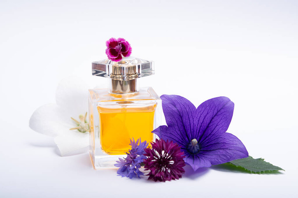 Creation of perfume essence, summer flowers sweet light fragrance, perfume bottle and colorful aromatic flowers isolated close up copy space - Photo, Image