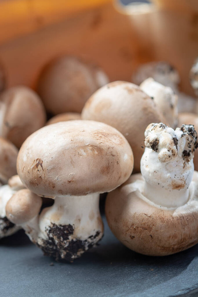 Funghi marroni marroni freschi biologici champignons con piede da grotte sotterranee in Belgio
 - Foto, immagini