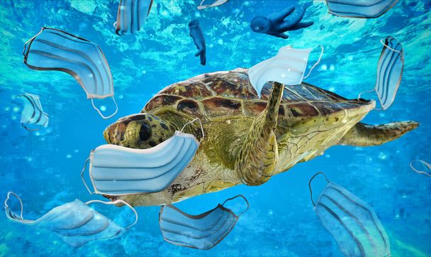 Μια θαλάσσια χελώνα θα φάει μια χειρουργική μάσκα. ρύπανση των ωκεανών και οι συνέπειες της υπερβολικής χρήσης χειρουργικών μασκών κατά την πανδημία του κορωναϊού. - Φωτογραφία, εικόνα