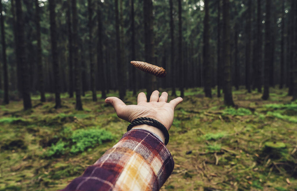 hiker throw up a pine cone in the forest - Foto, Imagem