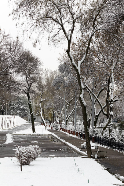 χειμερινό πάρκο στην πόλη - Φωτογραφία, εικόνα