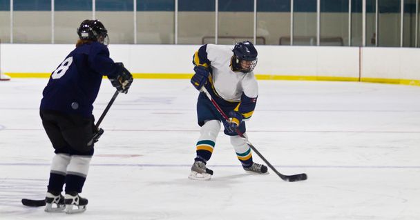 Joueuse de hockey sur glace en action
 - Photo, image