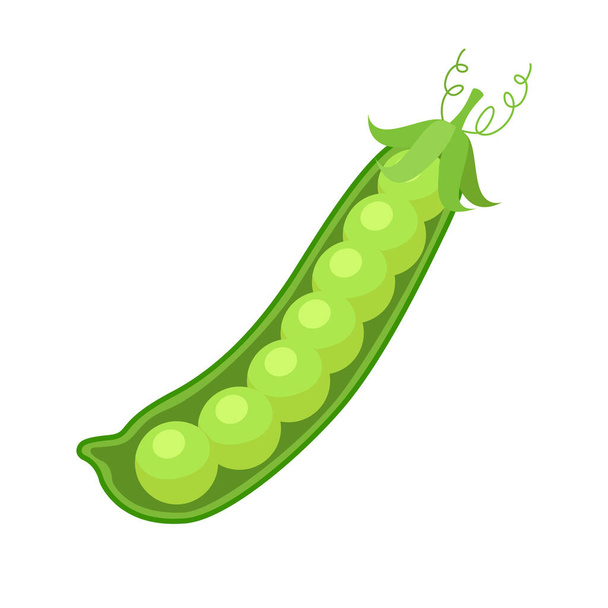 緑のエンドウ豆のポッド。白い背景にエンドウ豆を熟す。平型ベクトルイラスト. - ベクター画像